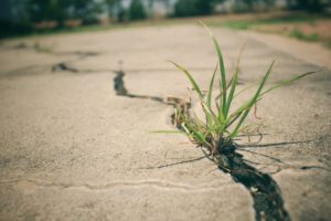 repair cracks in your concrete